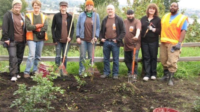 Volunteeers at Tom Wales Park